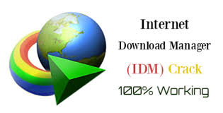 crack internet download manager 6.38