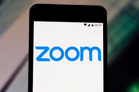 free download zoom pro
